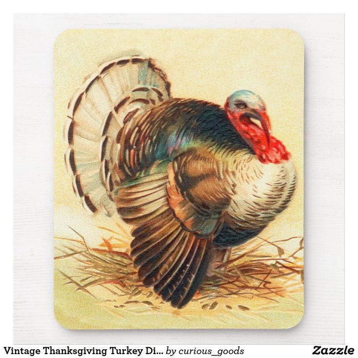 Happy Thanksgiving Turkey Mouse Pad 9.25