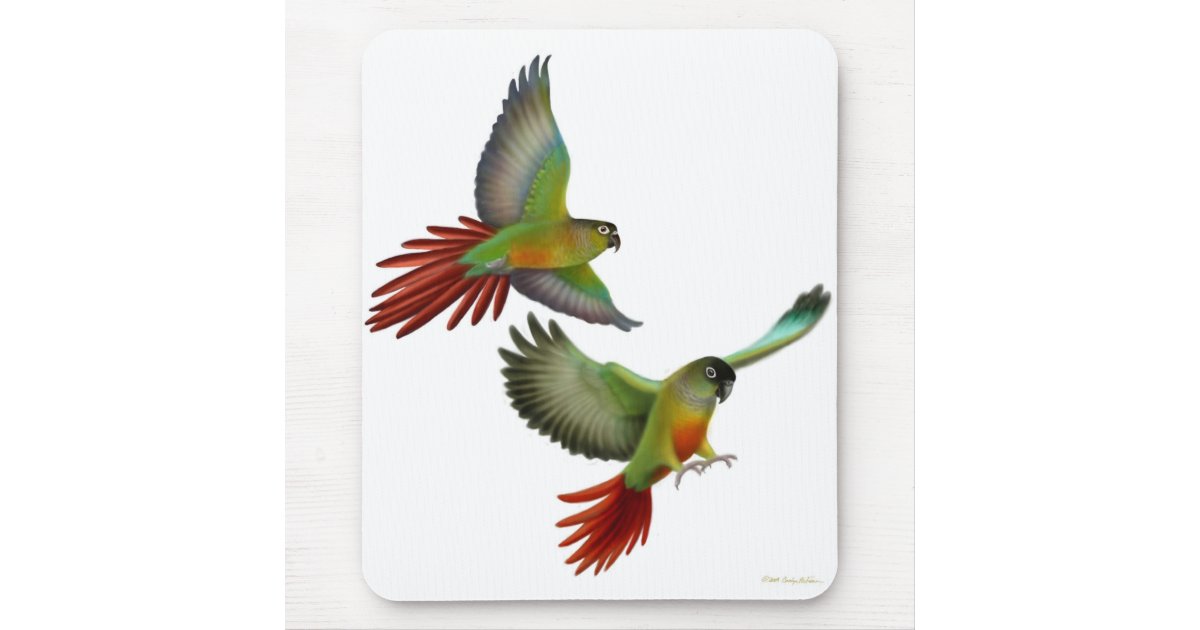 Green Cheek Conure Mouse Pad 9.25