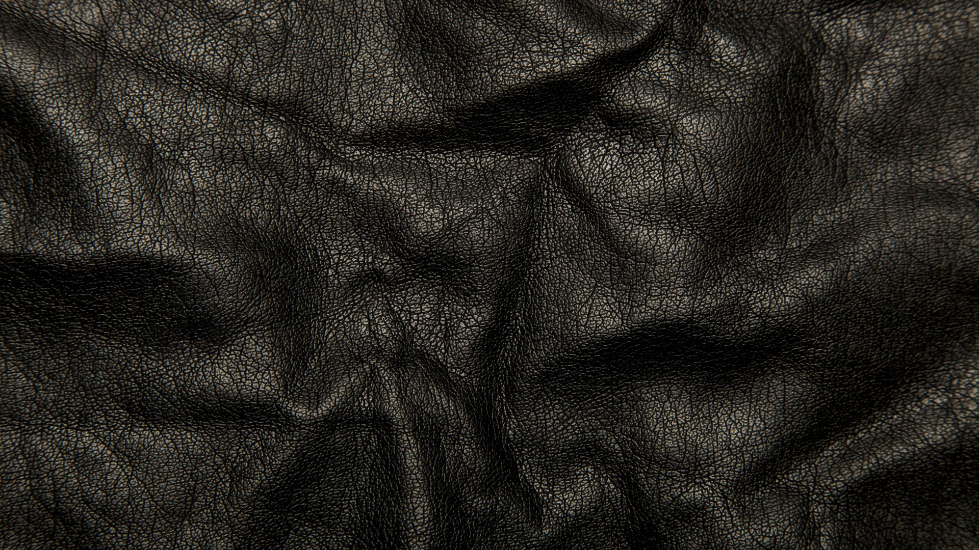 Black Leather 