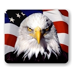 American Eagle (E) Mouse Pad  9.25