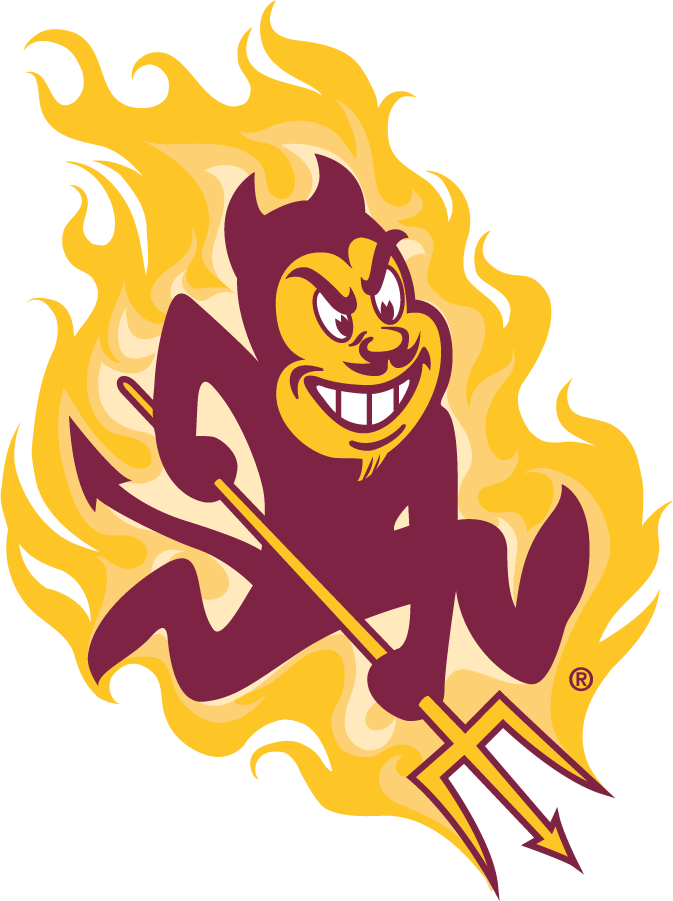 https://www.decalsextremeonline.com/assets/images/arizonasundevils(flames).jpg