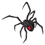 Black Widow Style A Die-cut Vinyl Decal / Sticker ** 4 Sizes **