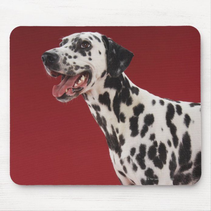 Dalmatian Mouse Pad 9.25" X 7.75"