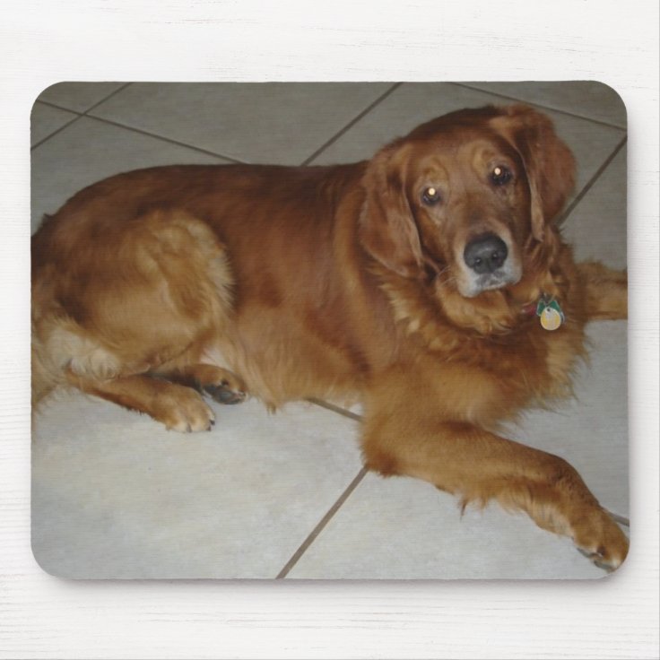 I Love my Golden Retriever Mouse Pad 9.25