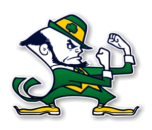 Notre Dame Fightin' Irish (J) Vinyl Die-Cut Decal / Sticker ** 4 Sizes **