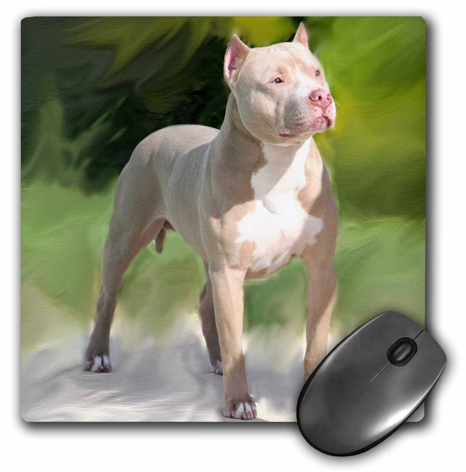 Pit-Bull Mouse Pad and Set of 2 Coasters