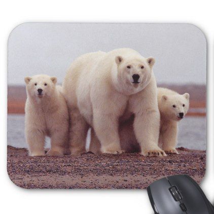 Polar Bear With Yearling Cubs Mouse Pad 9.25" X 7.75"