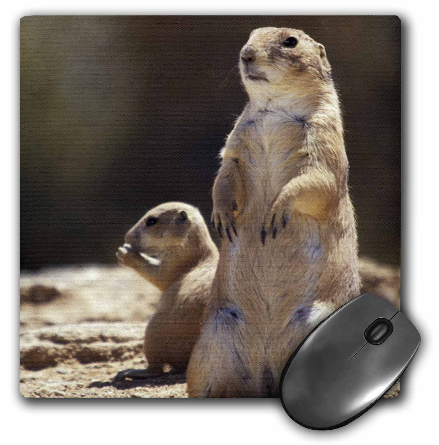 Prairie Dog Mouse Pad 9.25" X 7.75"