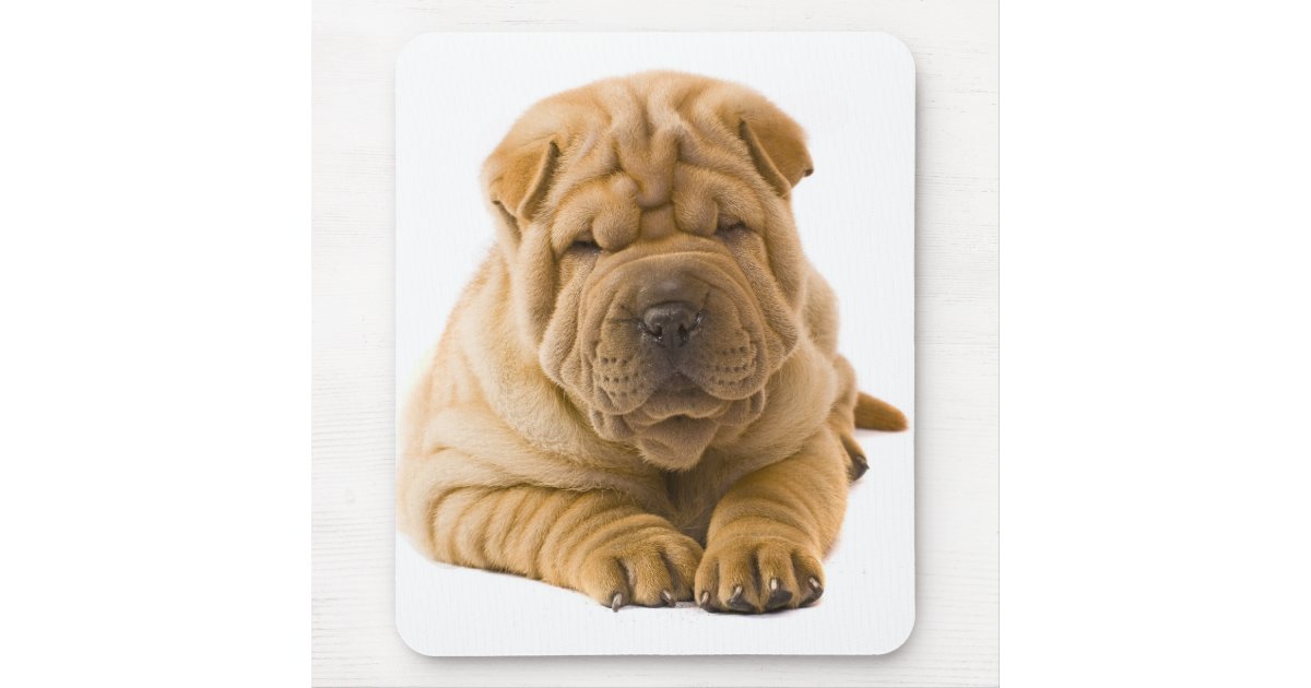 I Love my Shar Pei Mouse Pad 9.25