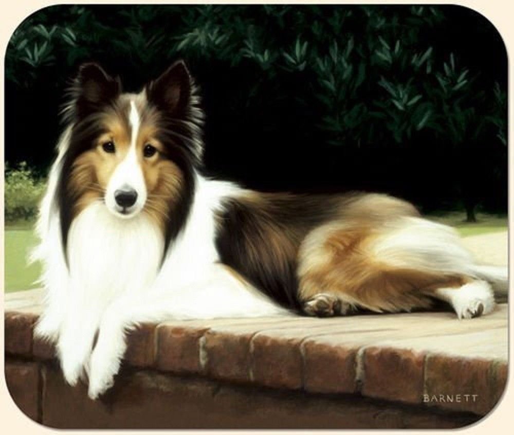 Shetland Sheepdog Mouse Pad and Set of 2 Coasters