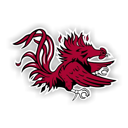 Team Color One Size WinCraft NCAA South Carolina Fighting Gamecocks 4x4 Perfect Cut White Decal 