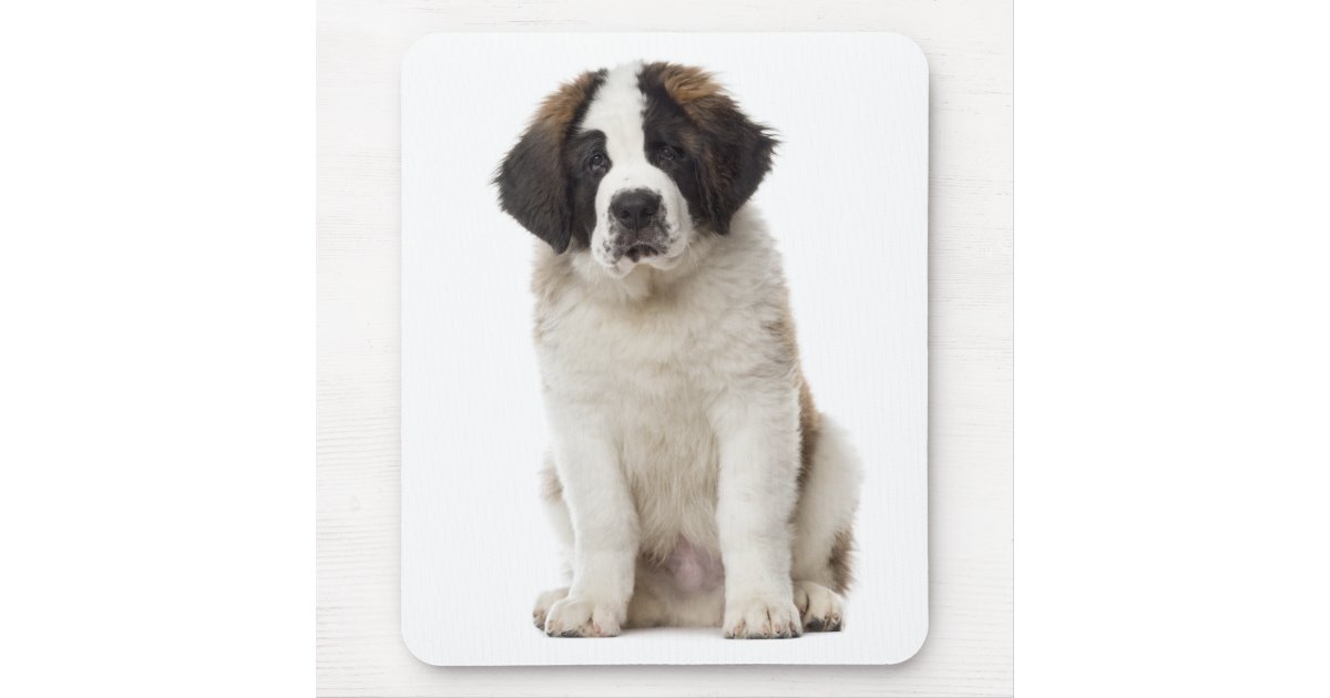 Saint Bernard Mouse Pad 9.25