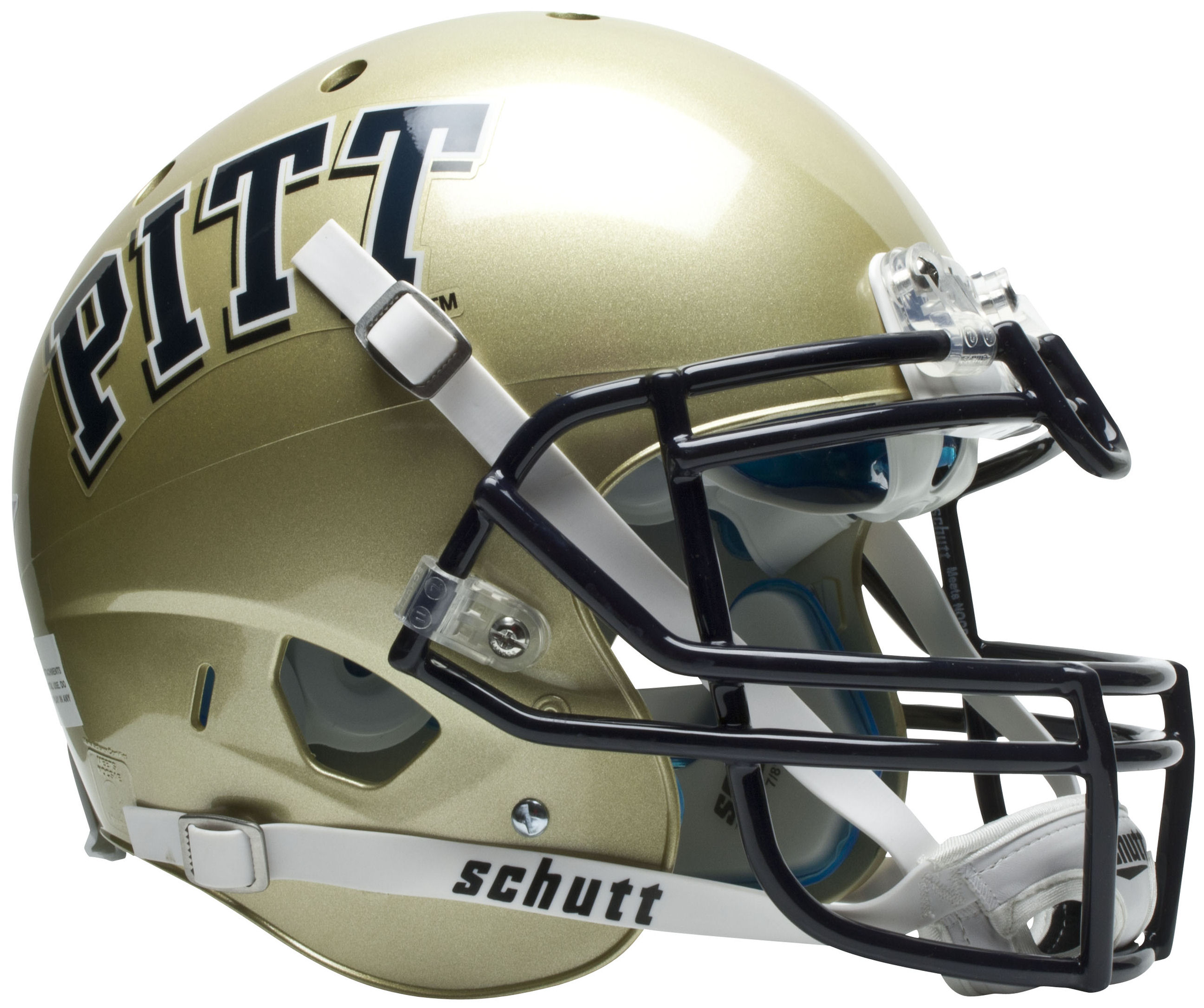 Pittsburgh Panthers Helmet 12
