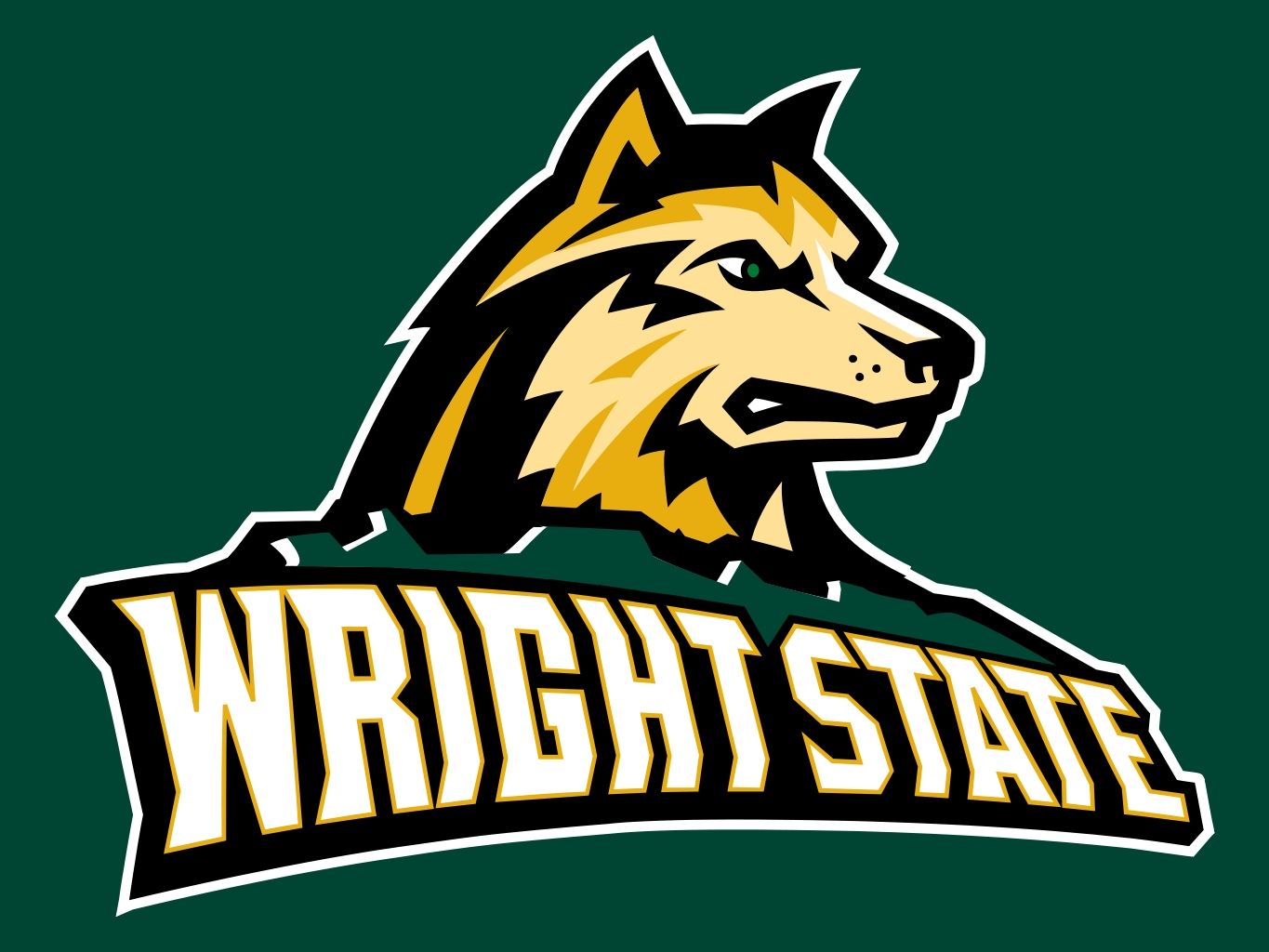 WSU Wright State University Raiders Ohio (G) Vinyl Die-Cut Decal / Sticker ** 4 Sizes **