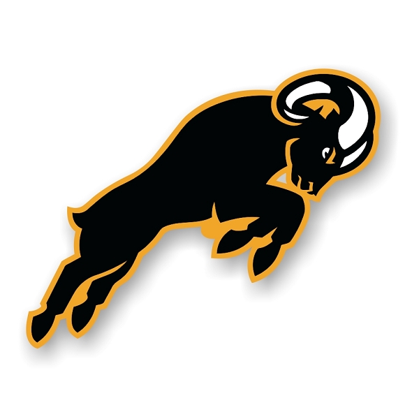 Virginia Commonwealth Rams VCU (E) Vinyl Die-Cut Decal / Sti