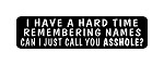 "I HAVE A HARD TIME REMEMBERING NAMES CAN I JUST CALL YOU ASSHOLE" Motorcycle Decal